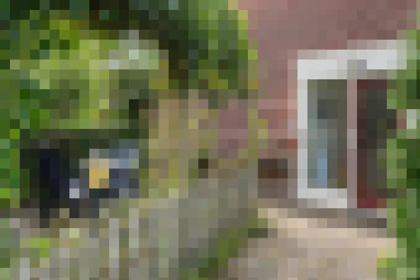 Het Zwiggelterveld 88 Zwiggelte thumbnail 29
