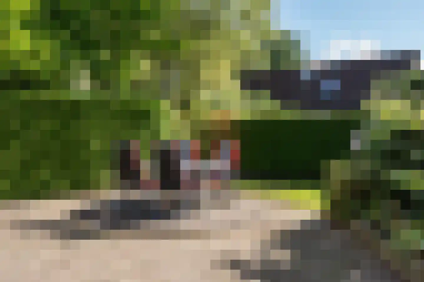 Het Zwiggelterveld 88 Zwiggelte foto 3