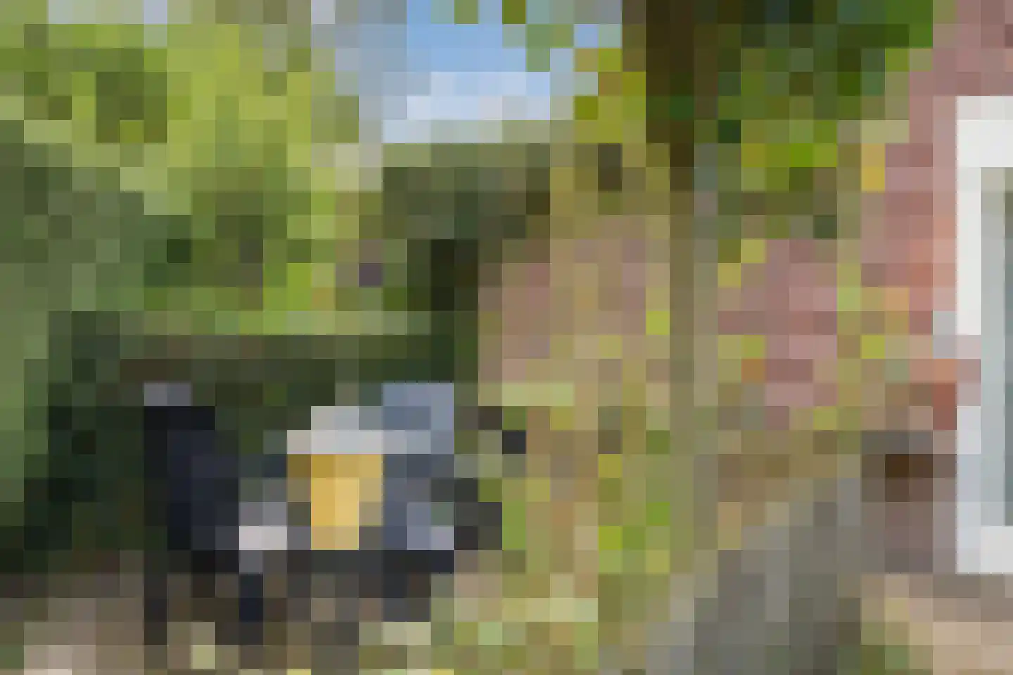 Het Zwiggelterveld 88 Zwiggelte thumbnail 30