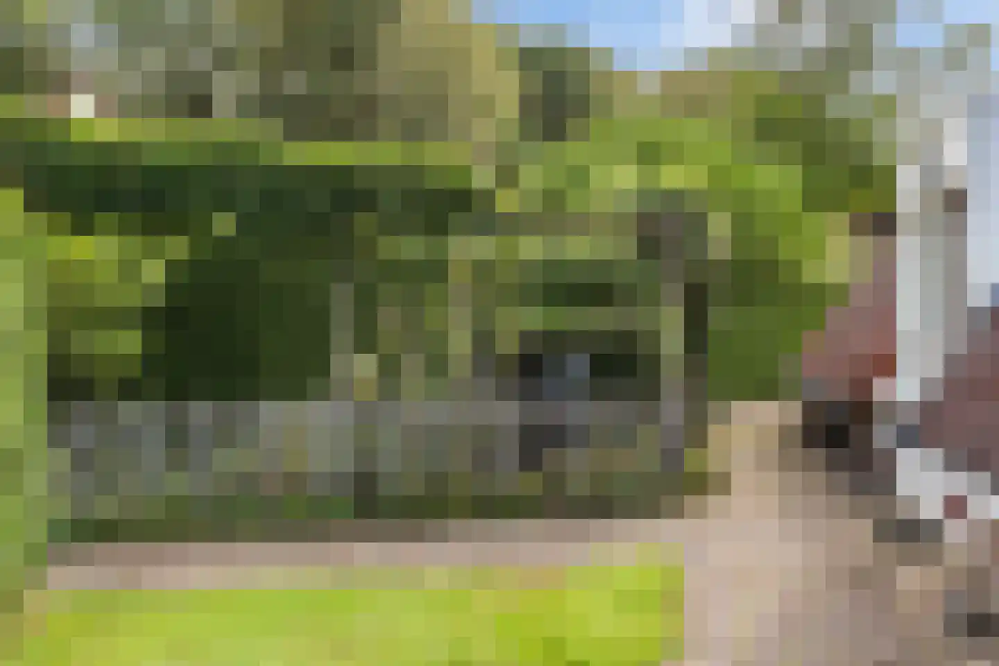 Het Zwiggelterveld 88 Zwiggelte thumbnail 31