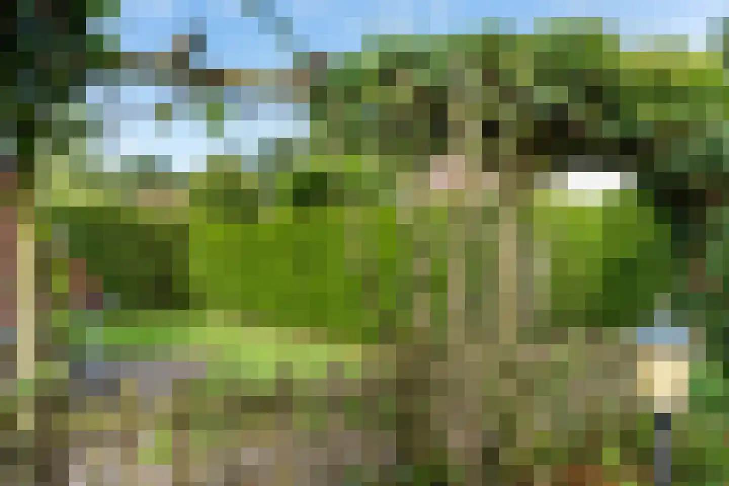 Het Zwiggelterveld 88 Zwiggelte thumbnail 32