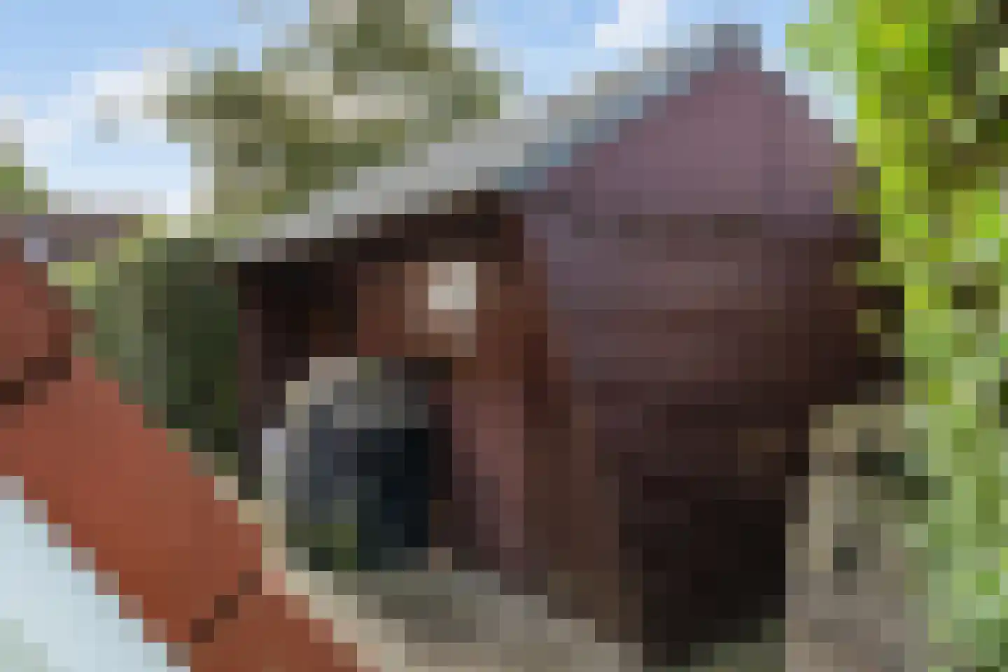 Het Zwiggelterveld 88 Zwiggelte thumbnail 34