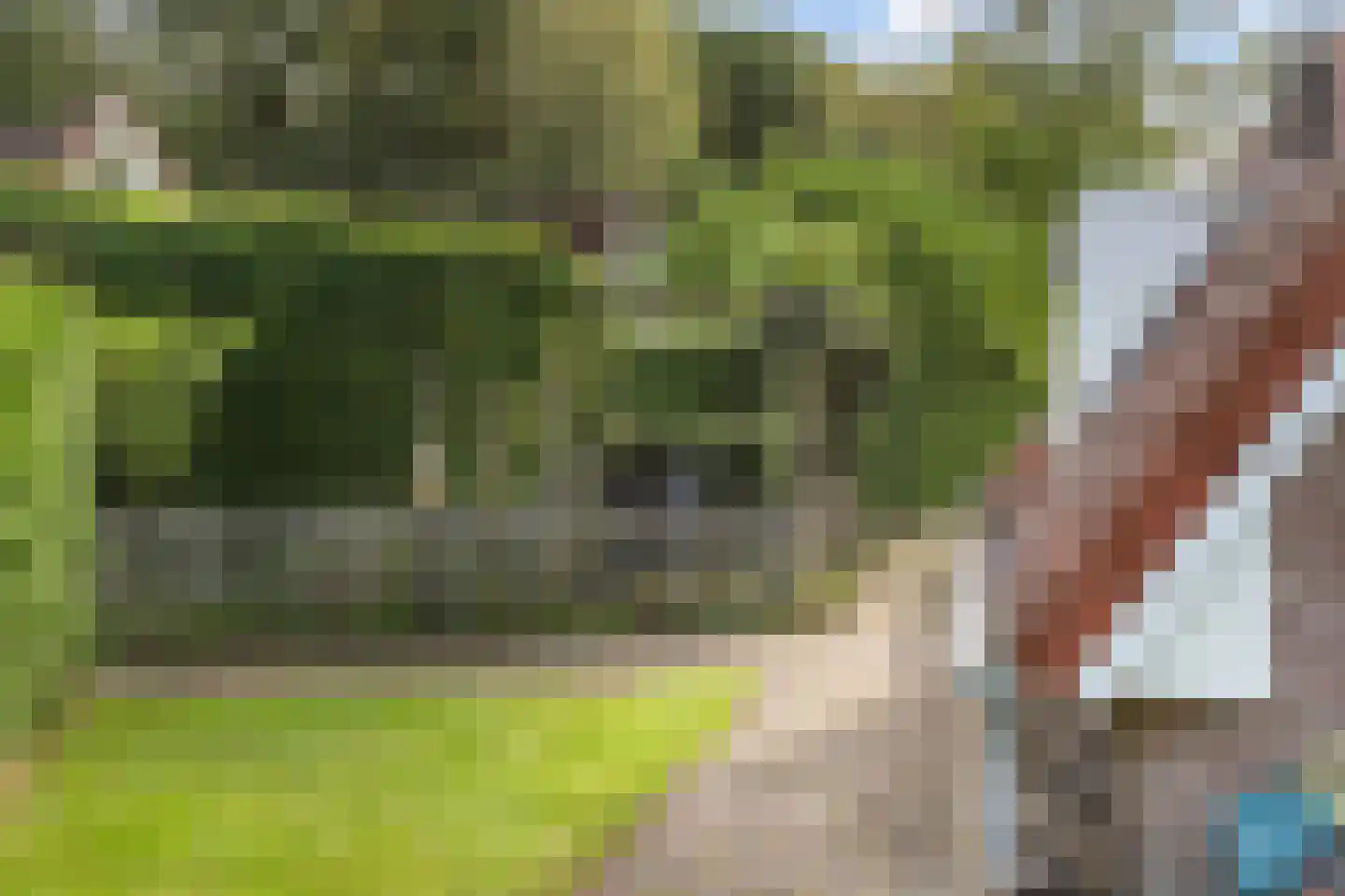 Het Zwiggelterveld 88 Zwiggelte thumbnail 35