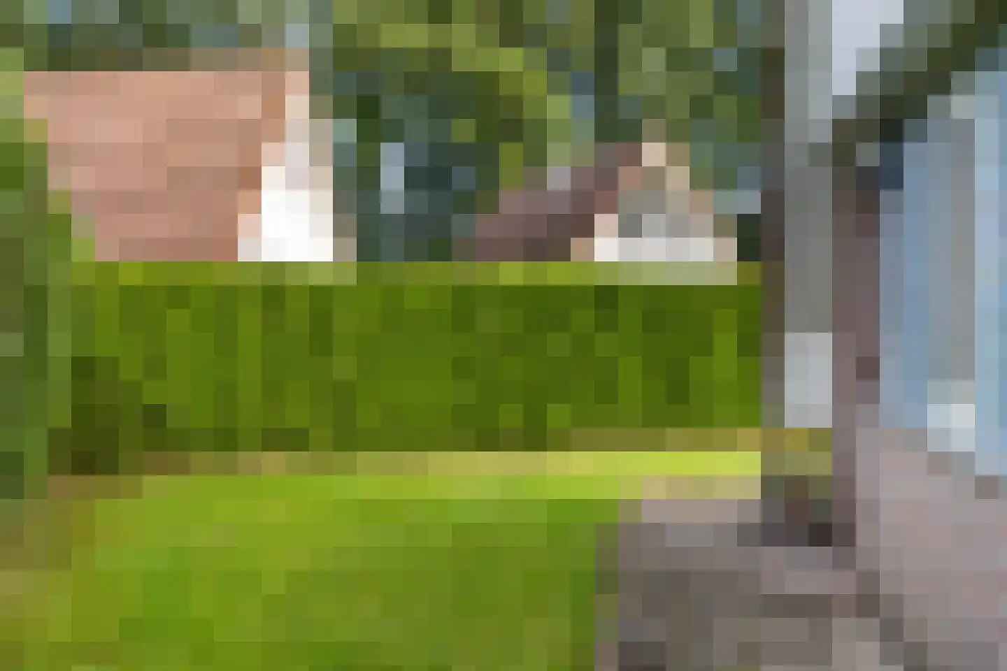 Het Zwiggelterveld 88 Zwiggelte thumbnail 36