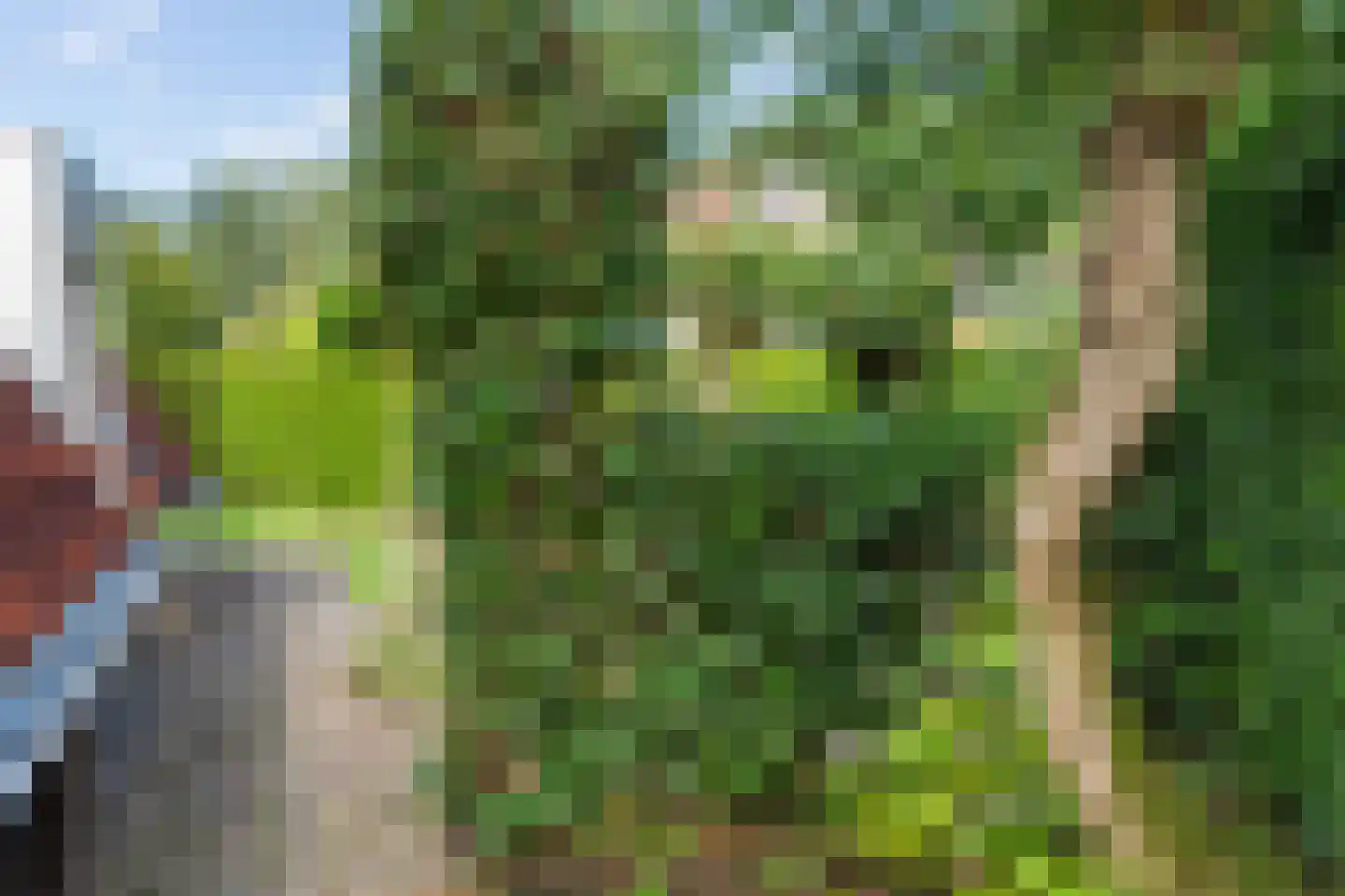 Het Zwiggelterveld 88 Zwiggelte thumbnail 37