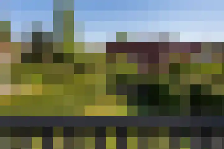 Het Zwiggelterveld 90 Zwiggelte thumbnail 17