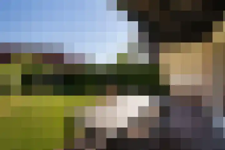 Het Zwiggelterveld 90 Zwiggelte thumbnail 18