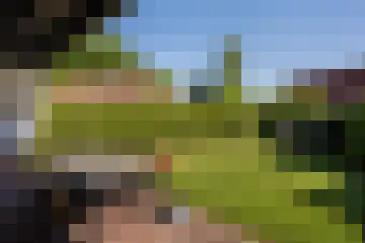 Het Zwiggelterveld 90 Zwiggelte thumbnail 19