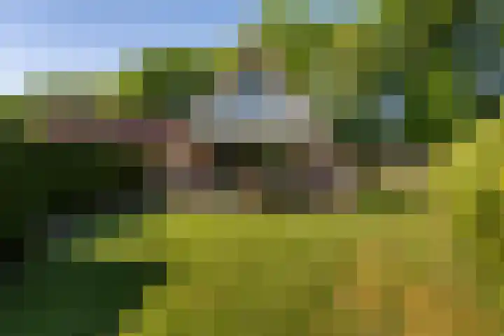 Het Zwiggelterveld 90 Zwiggelte foto 2