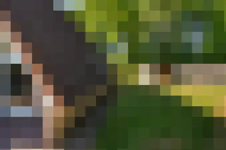 Het Zwiggelterveld 90 Zwiggelte thumbnail 20