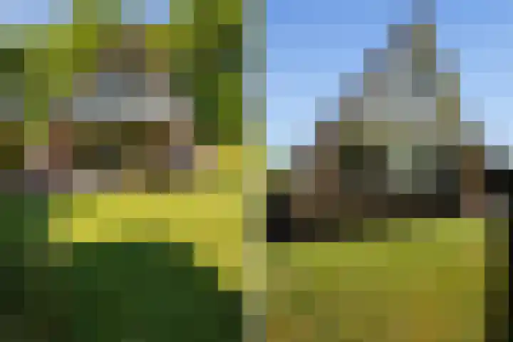 Het Zwiggelterveld 90 Zwiggelte thumbnail 21