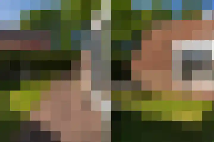 Het Zwiggelterveld 90 Zwiggelte thumbnail 22