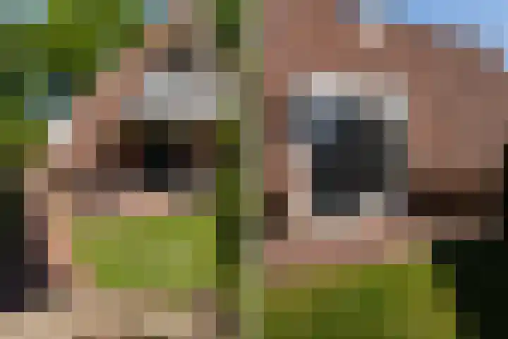 Het Zwiggelterveld 90 Zwiggelte thumbnail 23
