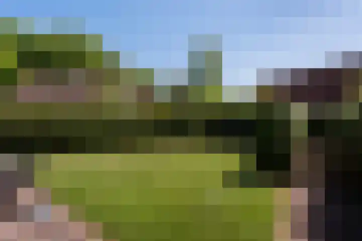Het Zwiggelterveld 90 Zwiggelte thumbnail 24