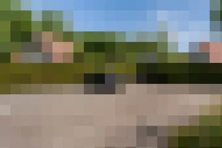 Het Zwiggelterveld 90 Zwiggelte thumbnail 25