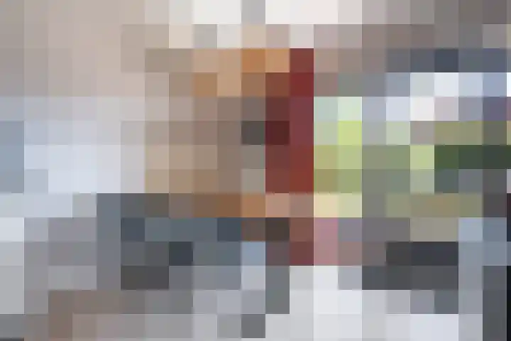 Het Zwiggelterveld 90 Zwiggelte thumbnail 6