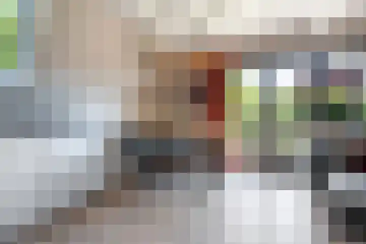 Het Zwiggelterveld 90 Zwiggelte thumbnail 7