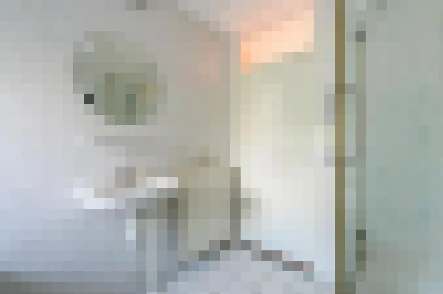 Het Zwin 11 Amersfoort thumbnail 20
