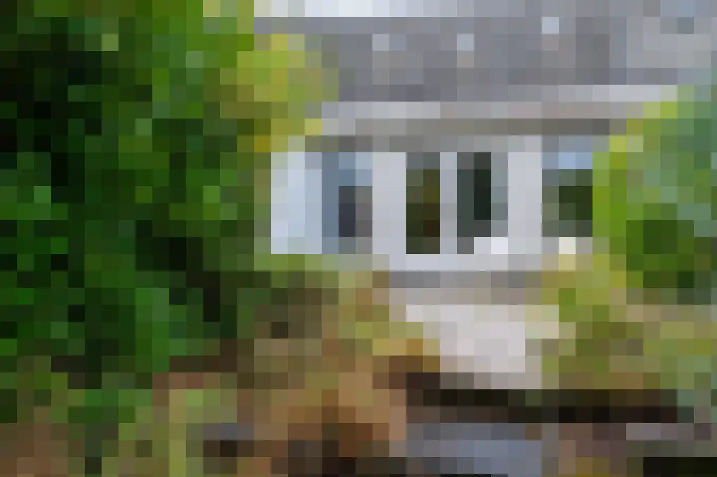 Het Zwin 11 Amersfoort thumbnail 28