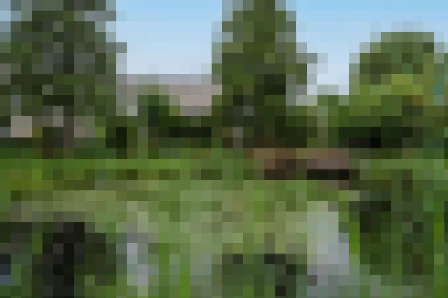Het Zwin 11 Amersfoort thumbnail 30