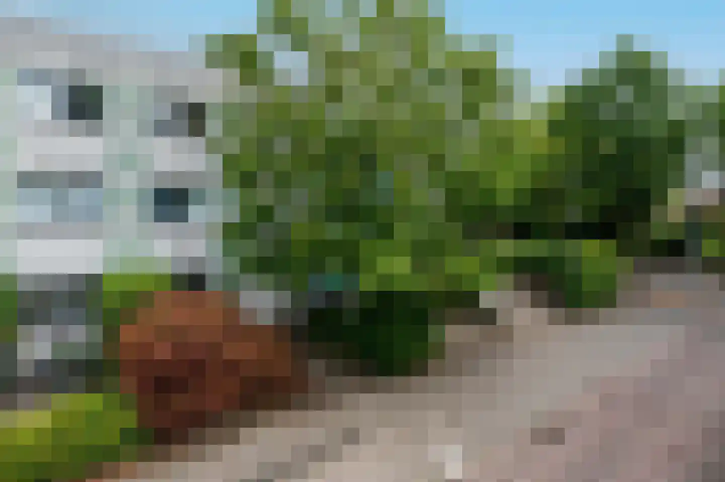 Het Zwin 11 Amersfoort thumbnail 31