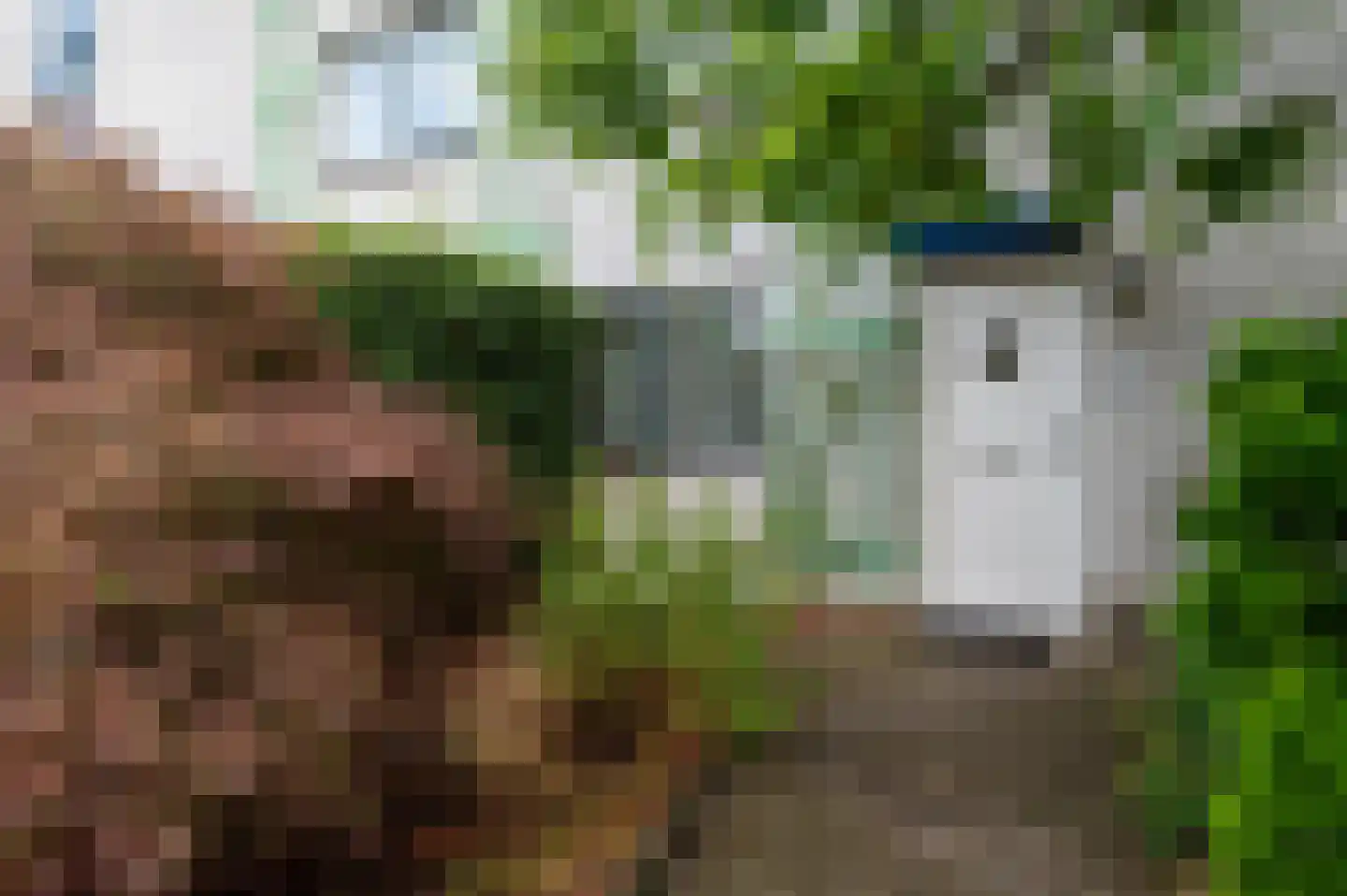 Het Zwin 11 Amersfoort thumbnail 35