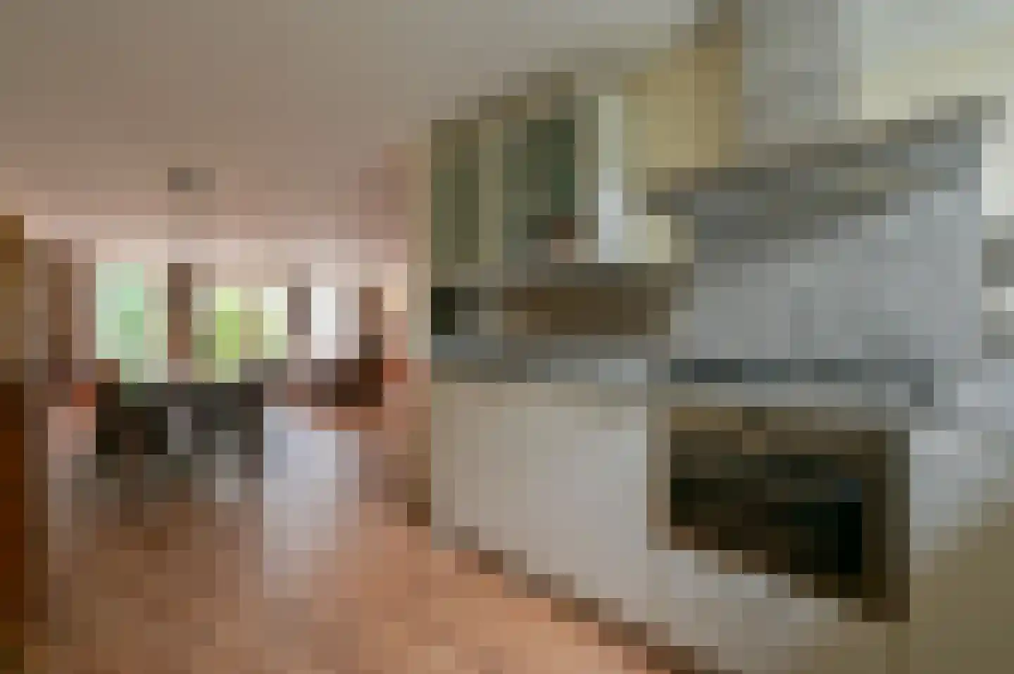 Het Zwin 11 Amersfoort thumbnail 8