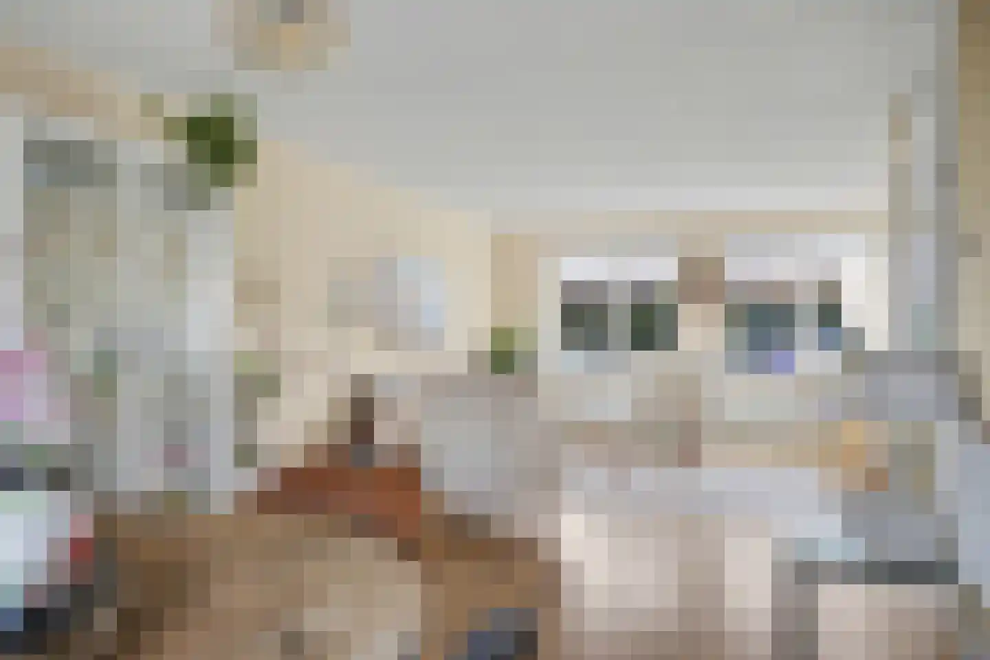 het Zwin 14 Schagen thumbnail 11