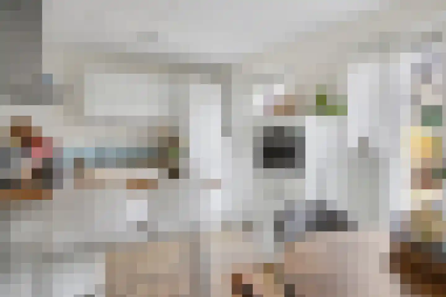 het Zwin 14 Schagen thumbnail 14