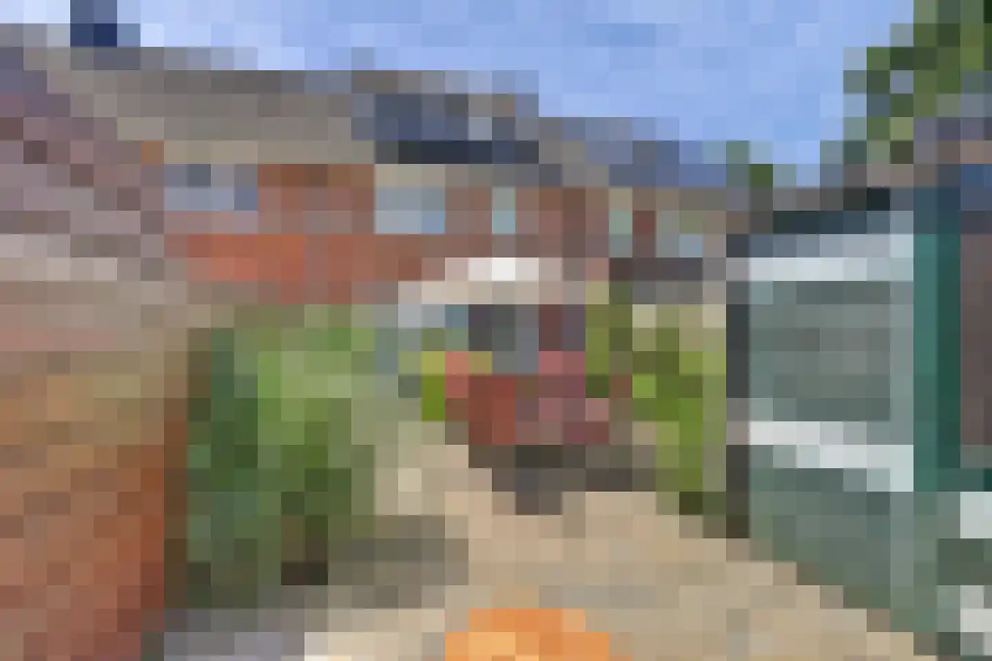 het Zwin 14 Schagen thumbnail 19