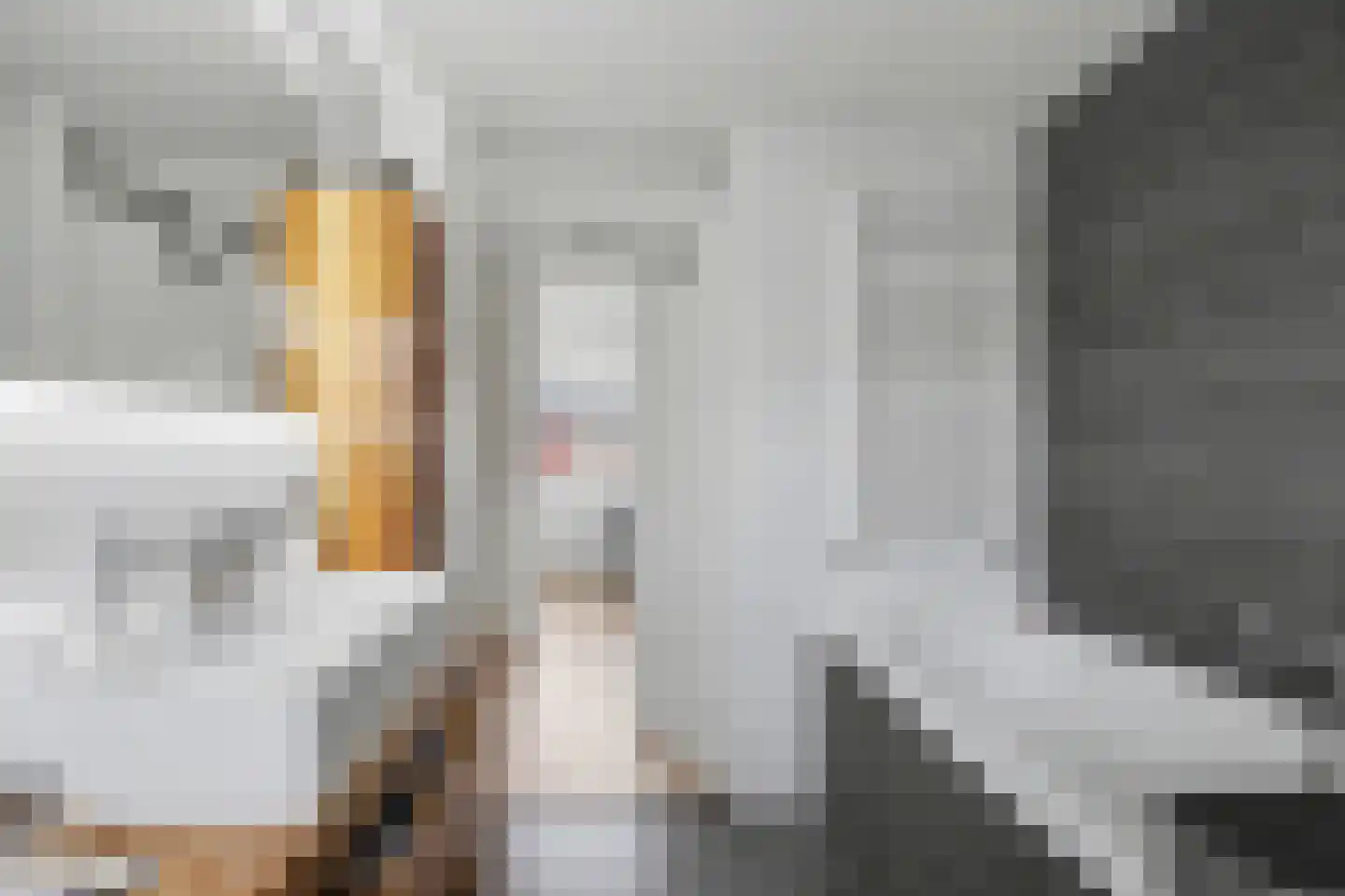 het Zwin 14 Schagen thumbnail 31