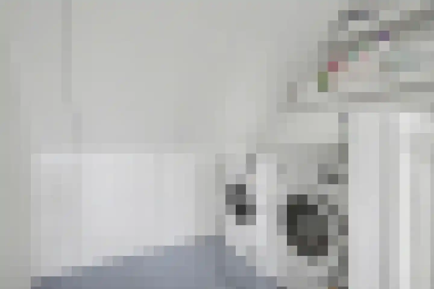 het Zwin 14 Schagen thumbnail 34