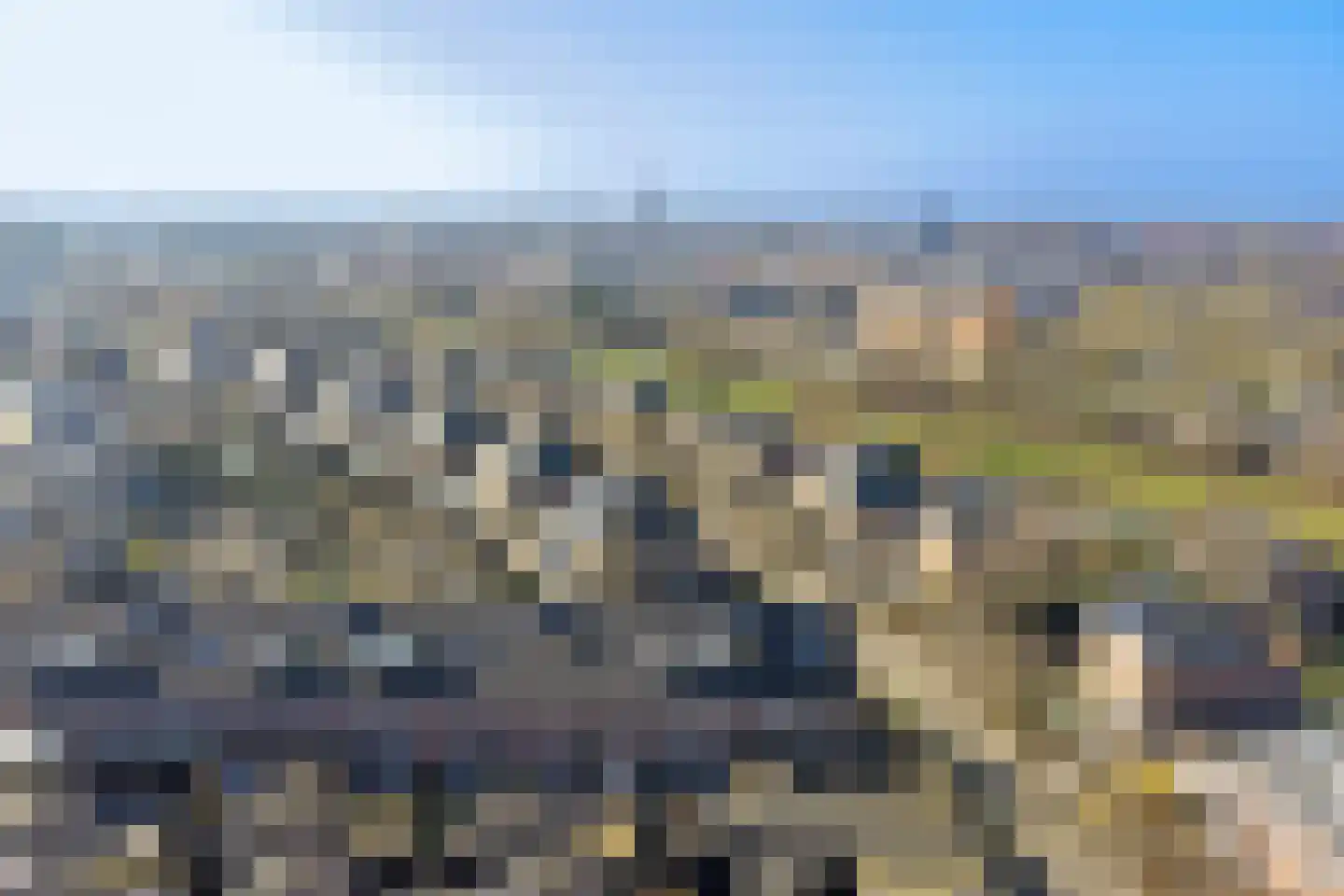 het Zwin 14 Schagen thumbnail 43