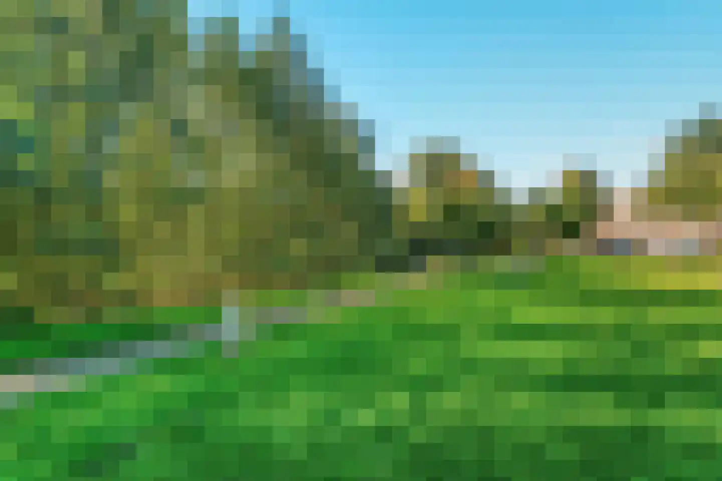Het Zwin 79 Arnhem thumbnail 32