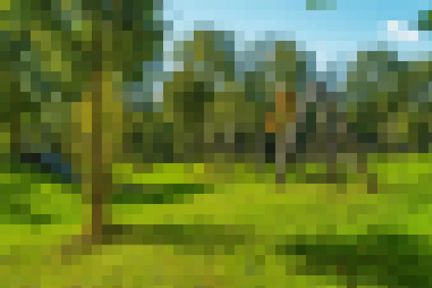 Het Zwin 79 Arnhem thumbnail 33