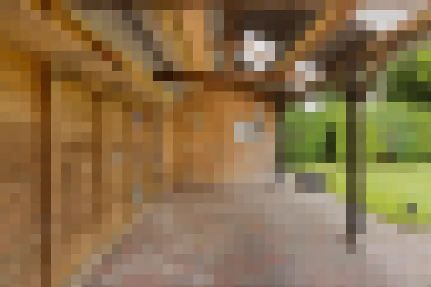Hetsmastraat 10 Opende thumbnail 29