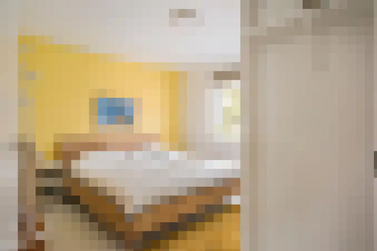 Hettemadreef 5 Voorschoten thumbnail 20