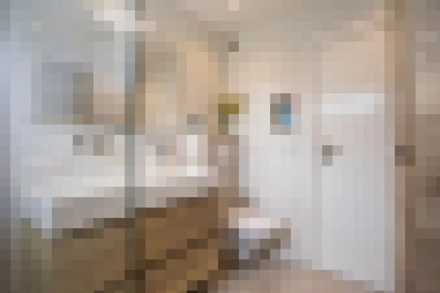 Hettemadreef 5 Voorschoten thumbnail 29