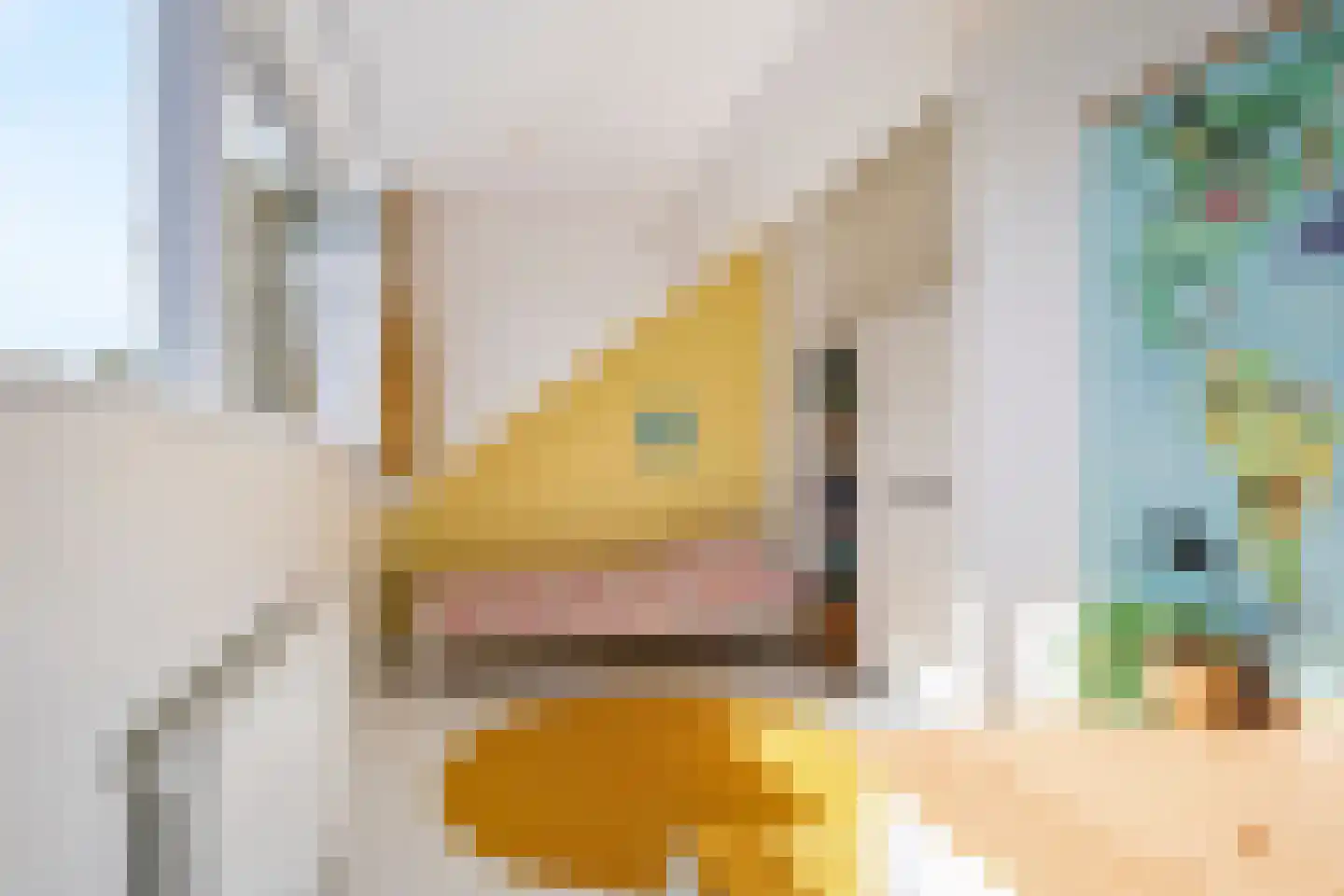 Hettemadreef 5 Voorschoten thumbnail 36