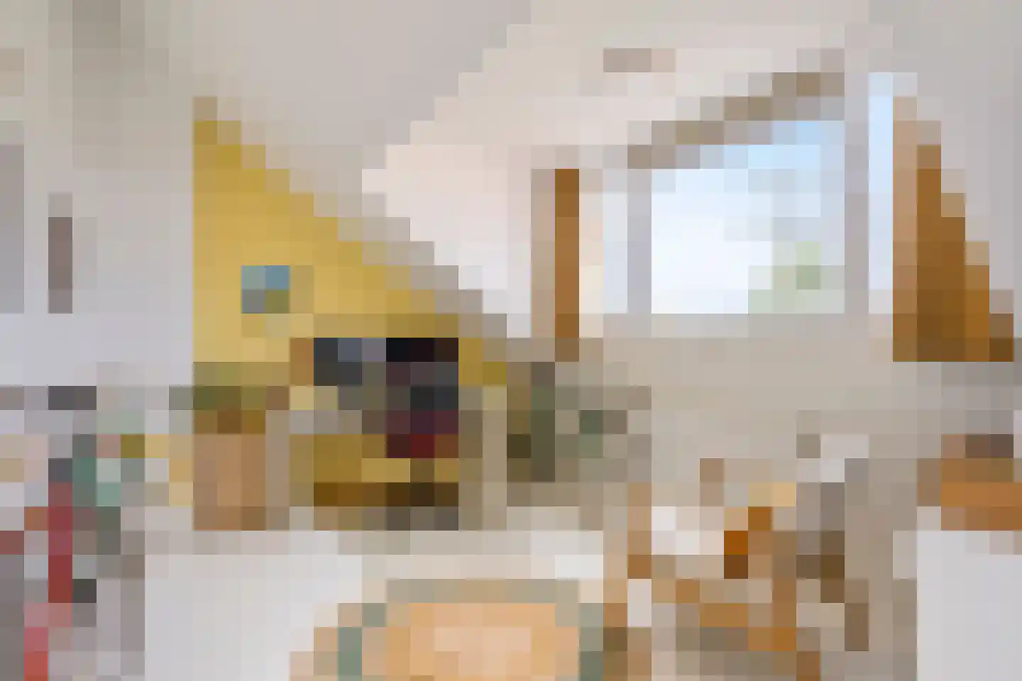 Hettemadreef 5 Voorschoten thumbnail 37