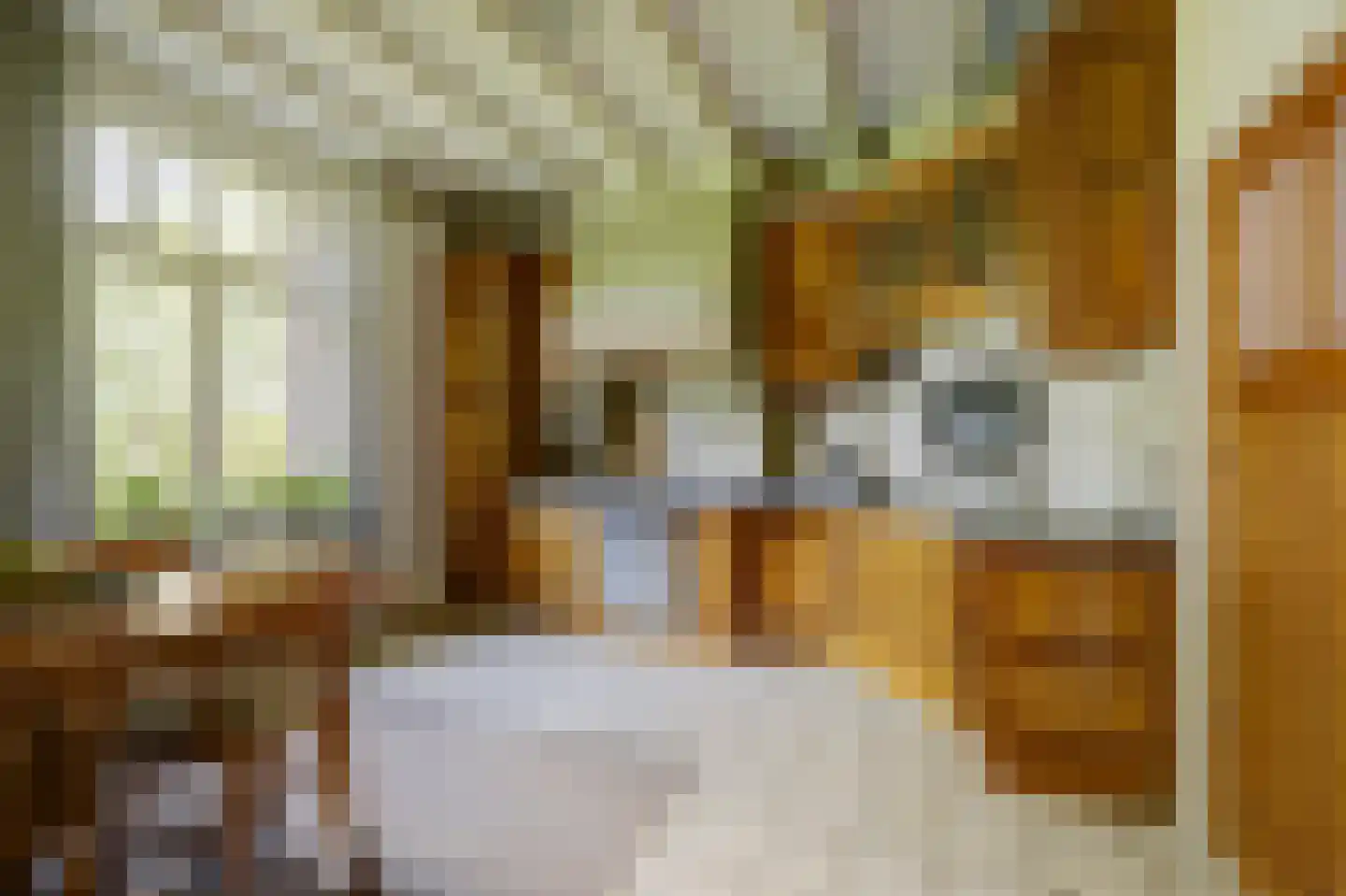 Hetterichstraat 5 Baarlo thumbnail 21