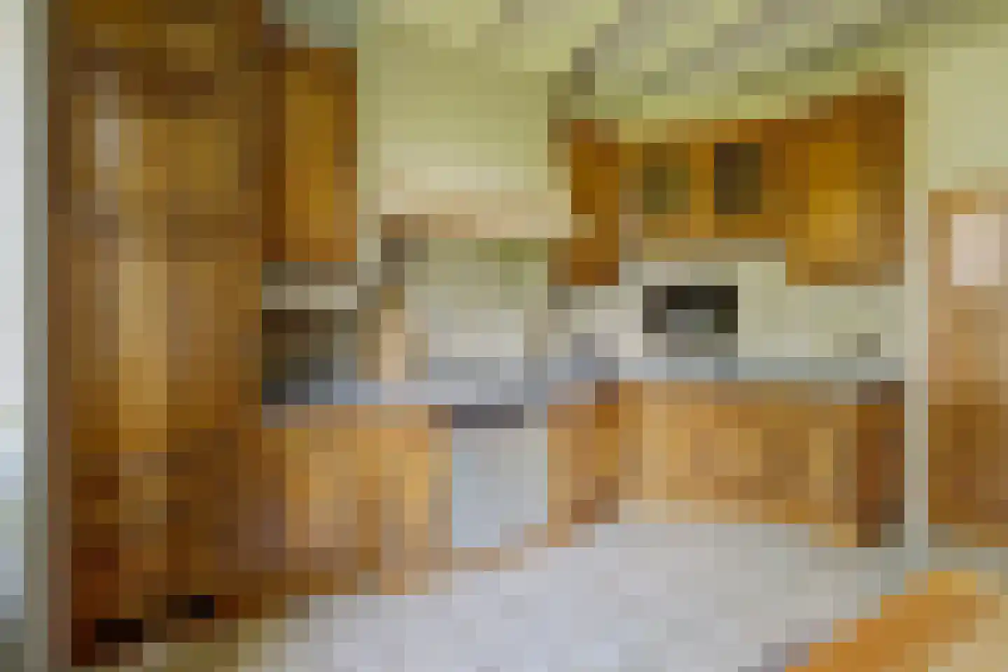 Hetterichstraat 5 Baarlo thumbnail 23