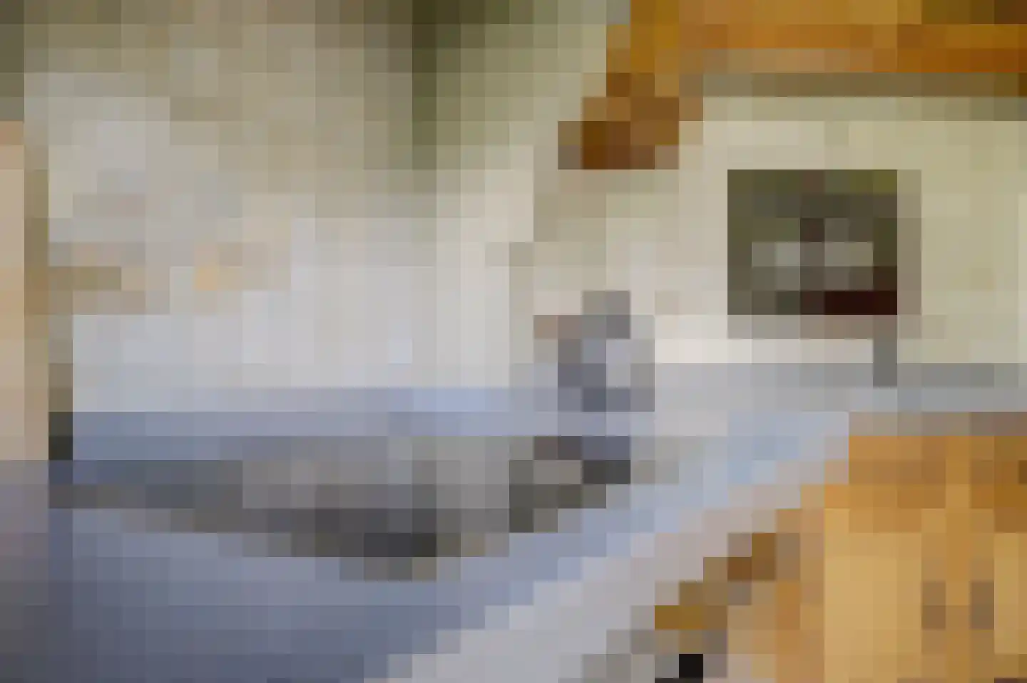 Hetterichstraat 5 Baarlo thumbnail 24