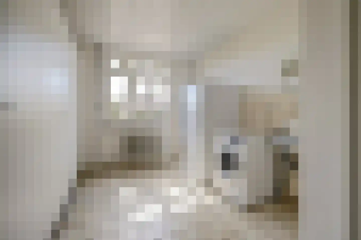 Hetterichstraat 5 Baarlo thumbnail 29