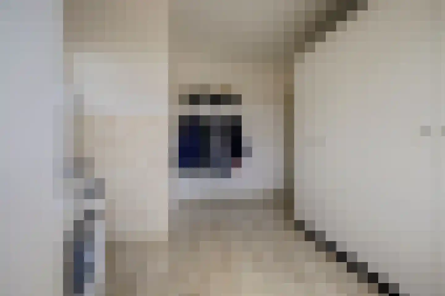 Hetterichstraat 5 Baarlo thumbnail 30
