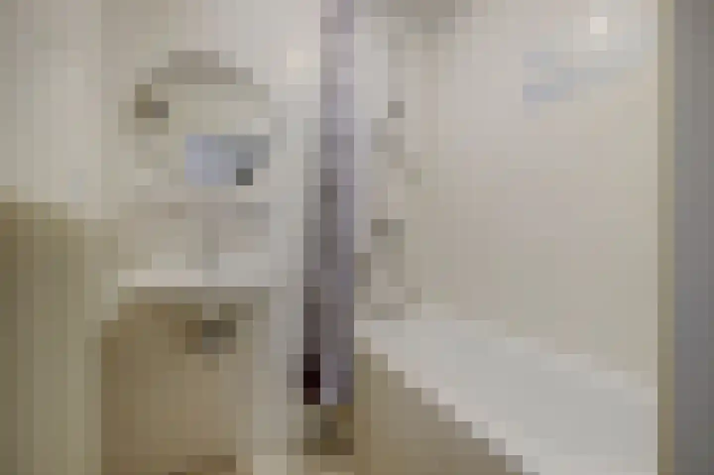 Hetterichstraat 5 Baarlo thumbnail 33