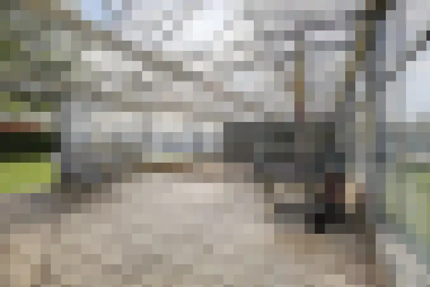Hetterichstraat 5 Baarlo thumbnail 4
