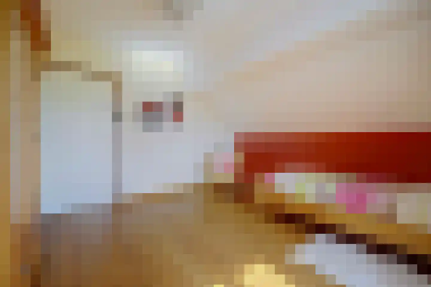 Hetterichstraat 5 Baarlo thumbnail 40