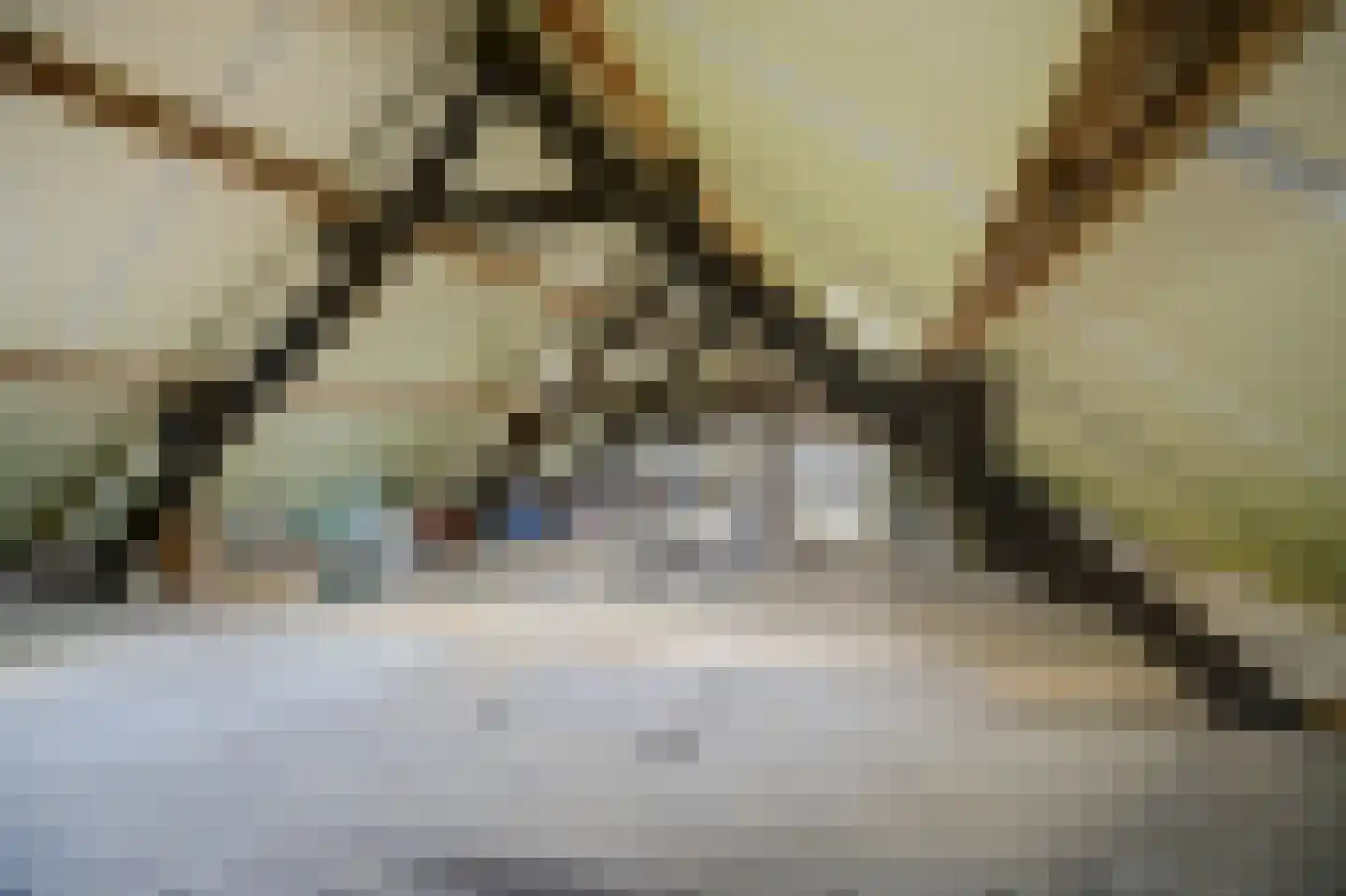 Hetterichstraat 5 Baarlo thumbnail 47