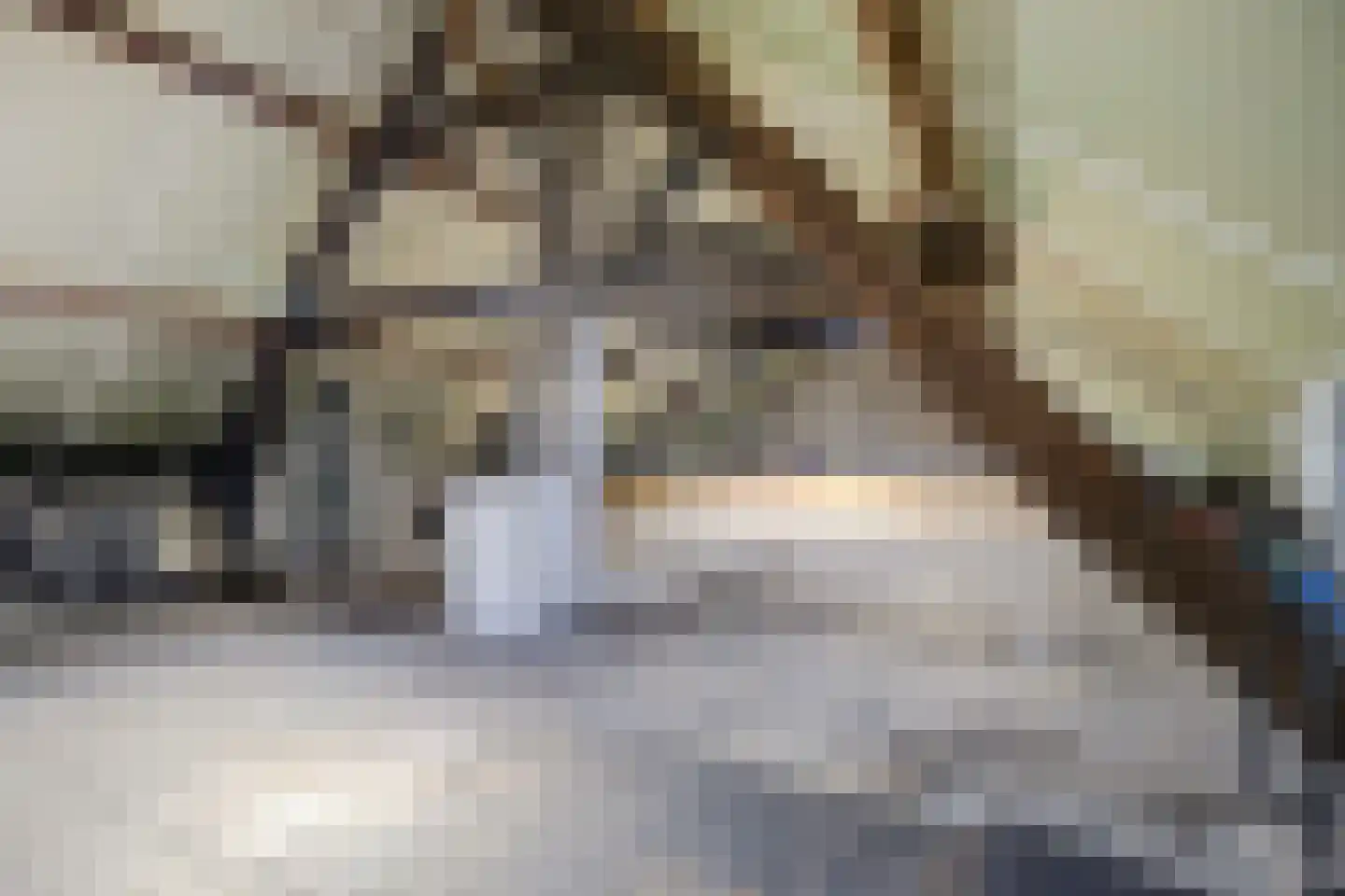 Hetterichstraat 5 Baarlo thumbnail 48